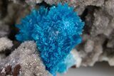 Vibrant Blue Cavansite Clusters on Stilbite - India #306077-1